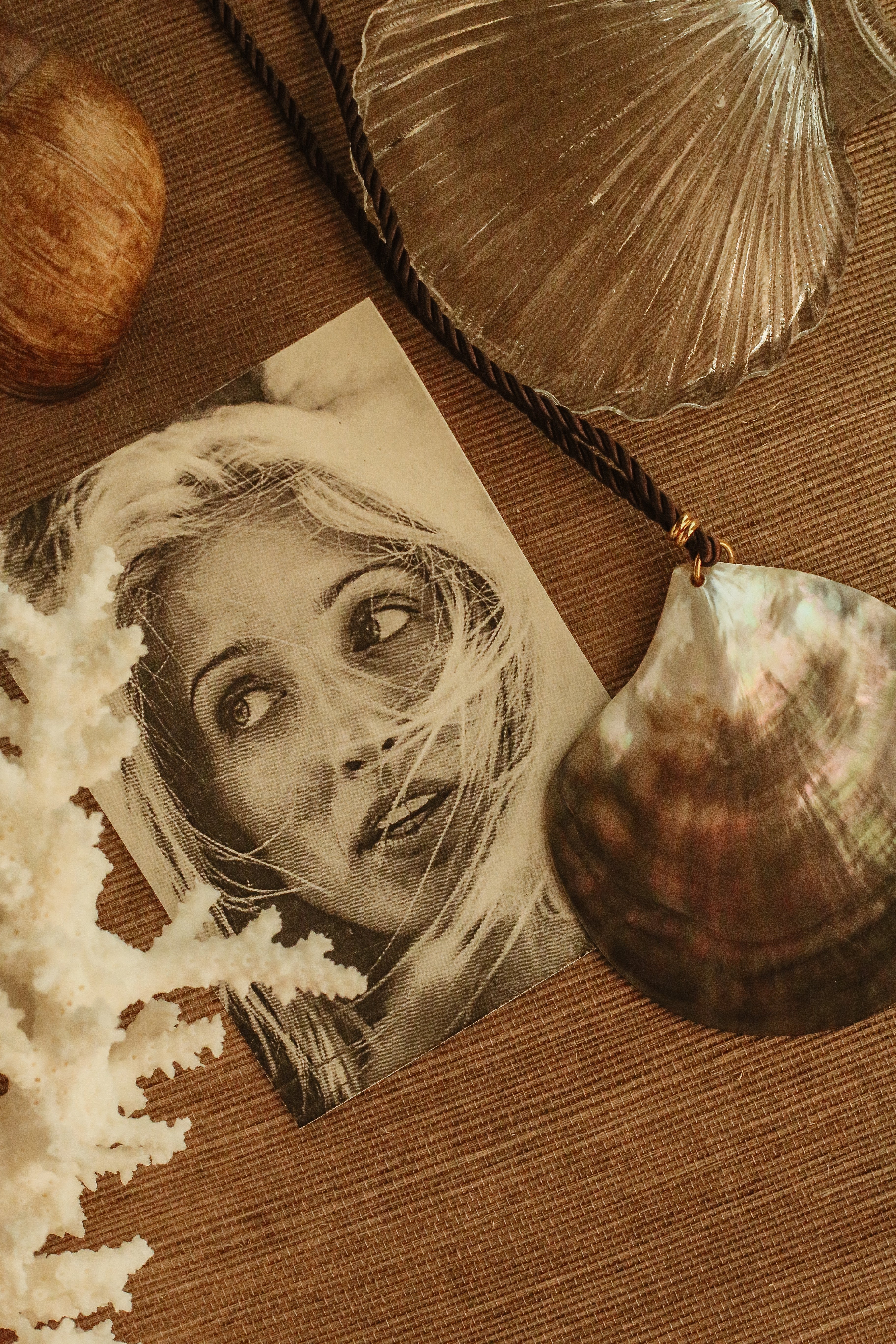 The 'Summer Collection' 2025