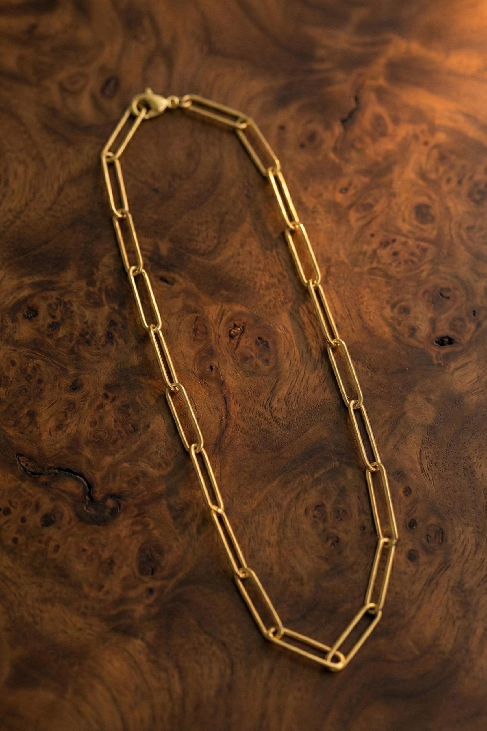 Lucius Paperclip Necklace