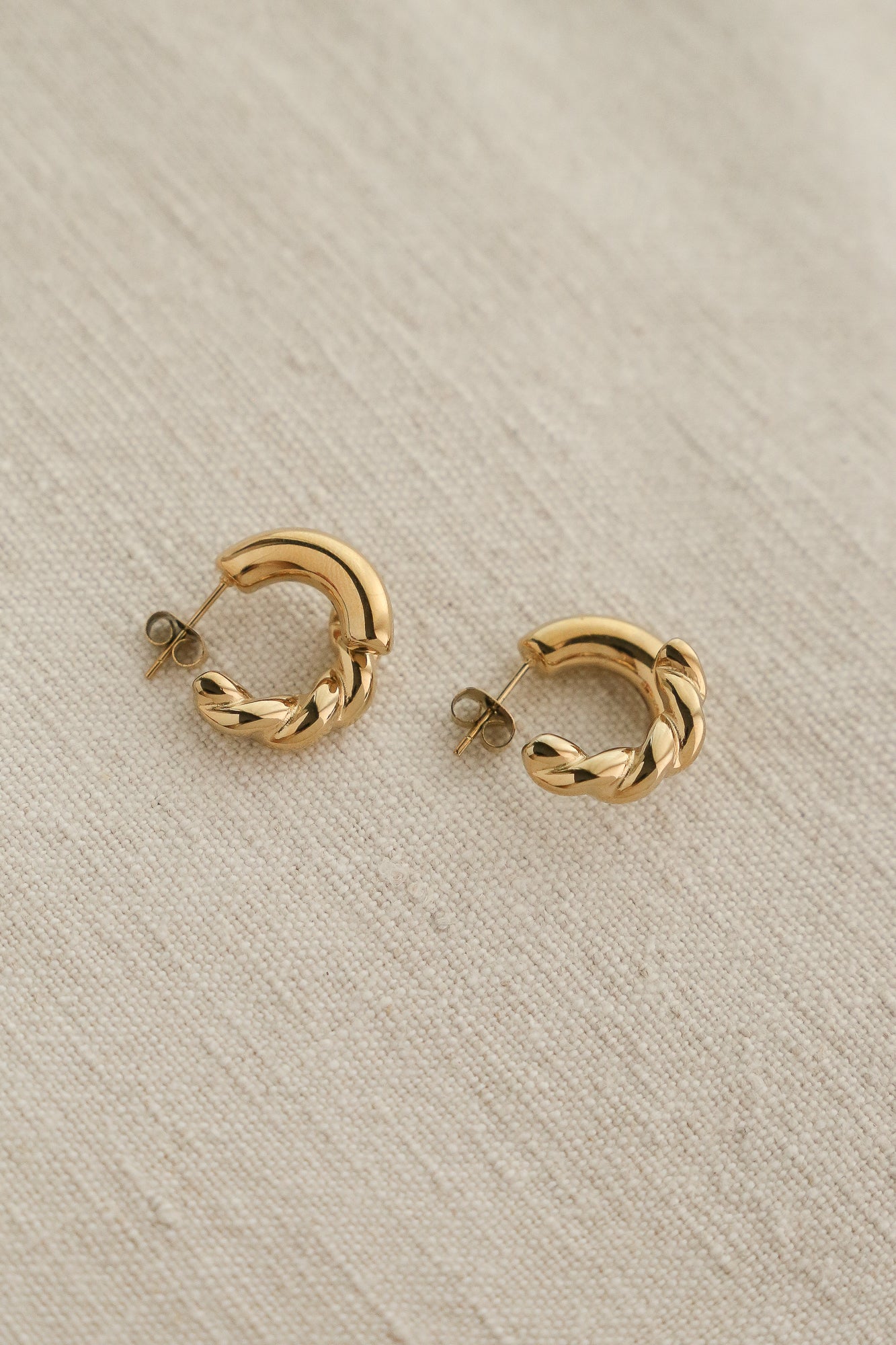 Julia Hoop Earrings