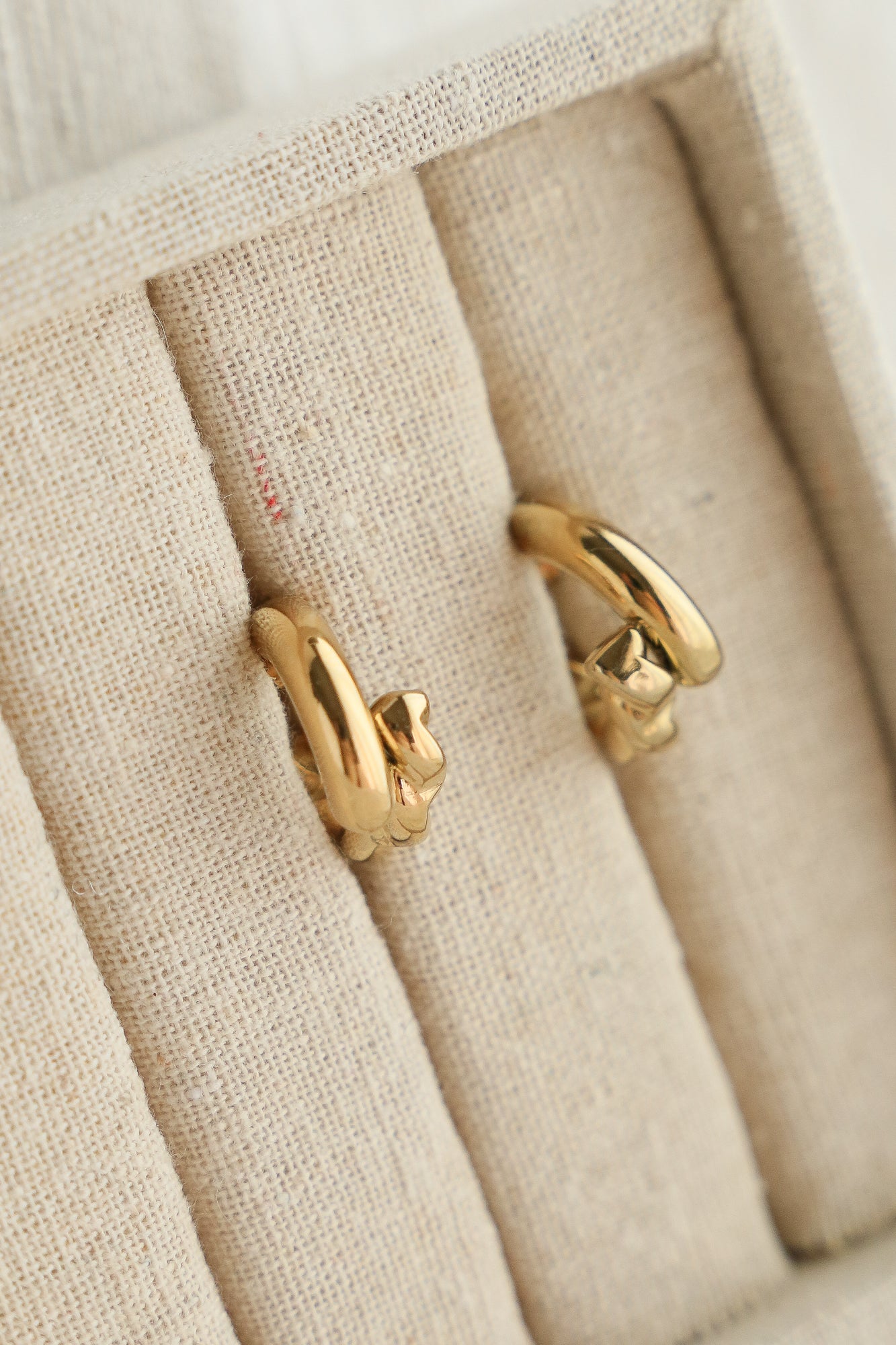 Julia Hoop Earrings