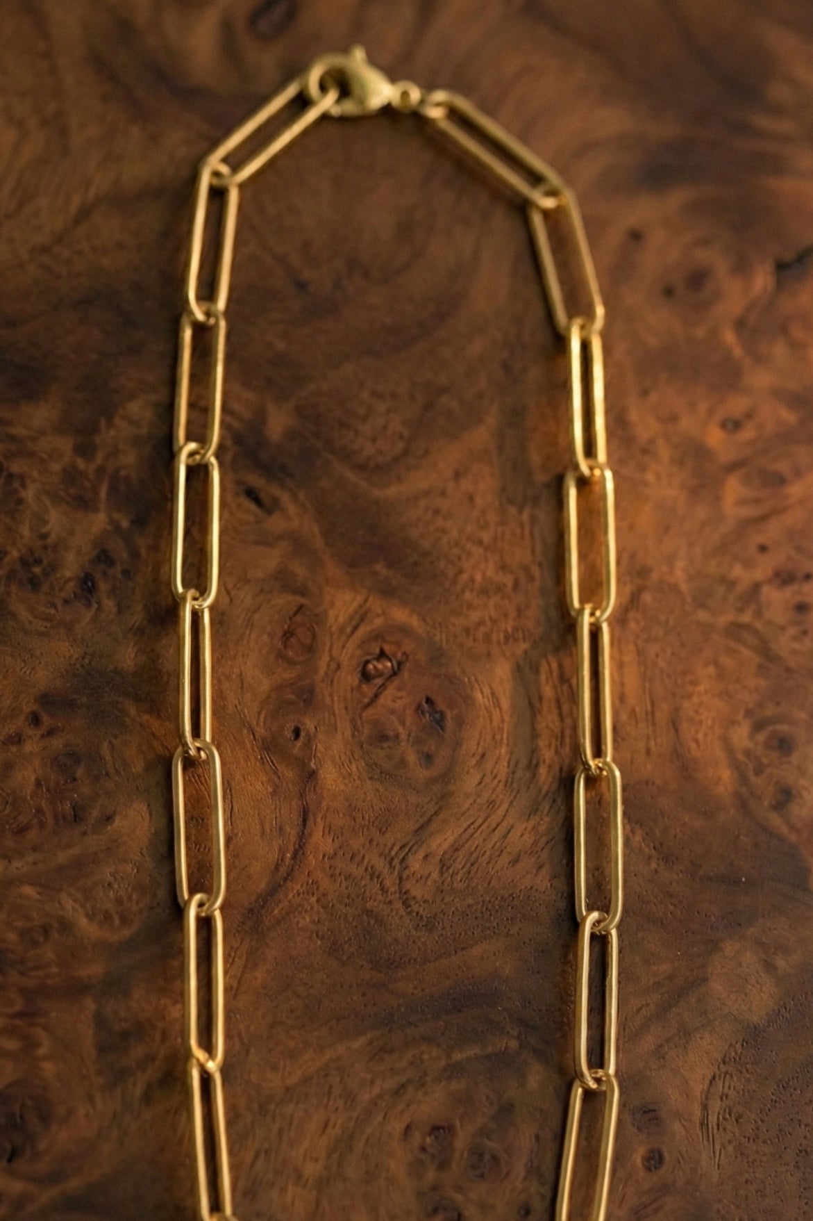 Lucius Paperclip Necklace - has waterproof, durable, elegant and vintage inspired jewelry