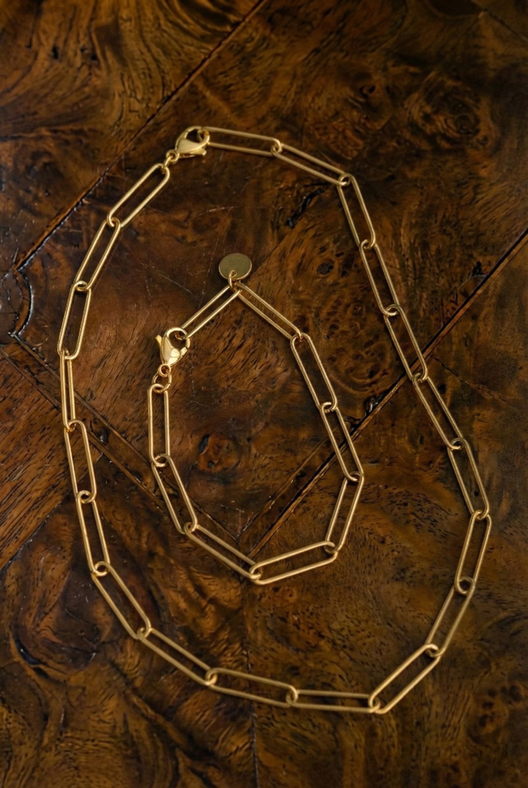 Lucius Paperclip Necklace - has waterproof, durable, elegant and vintage inspired jewelry