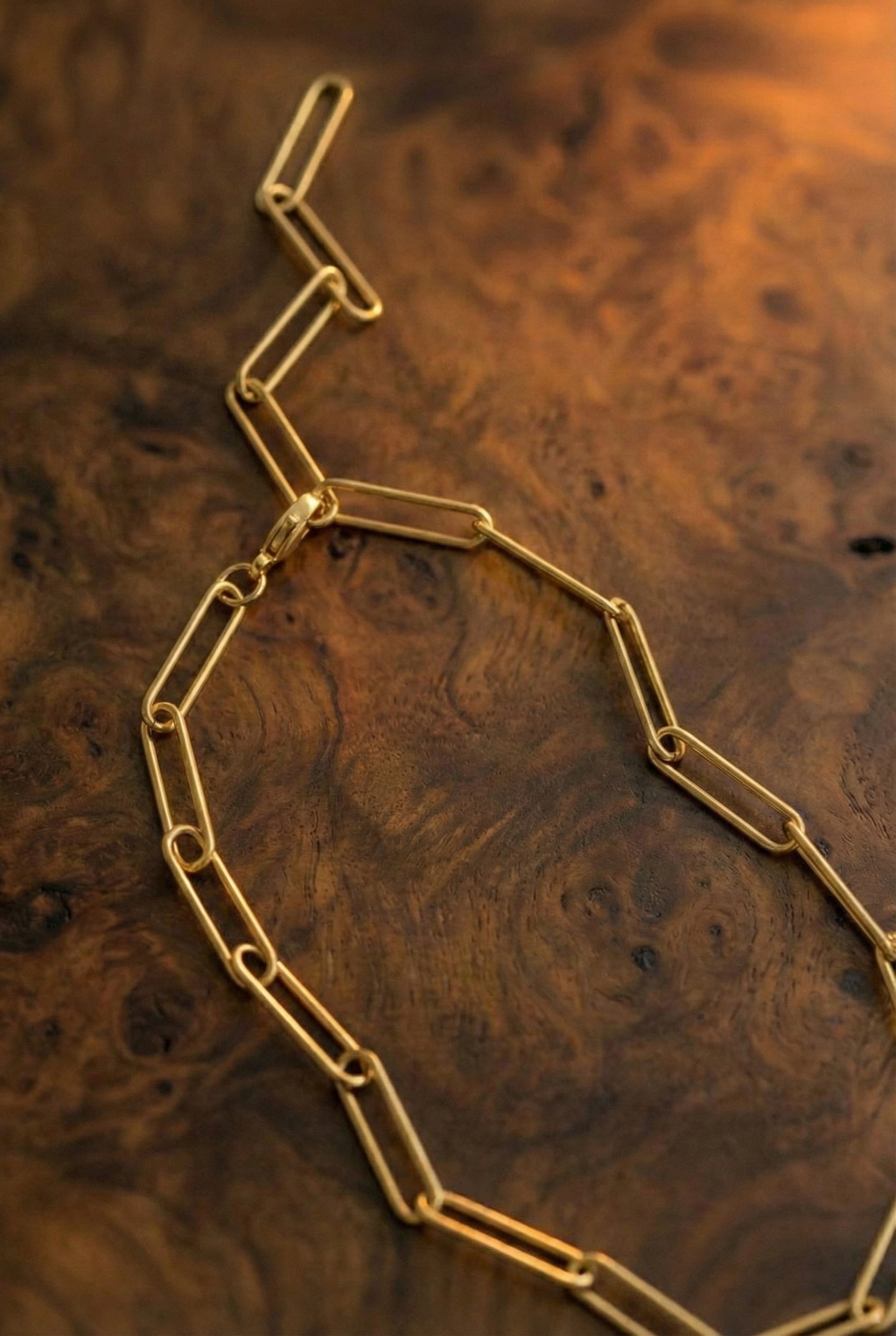 Lucius Paperclip Necklace - has waterproof, durable, elegant and vintage inspired jewelry