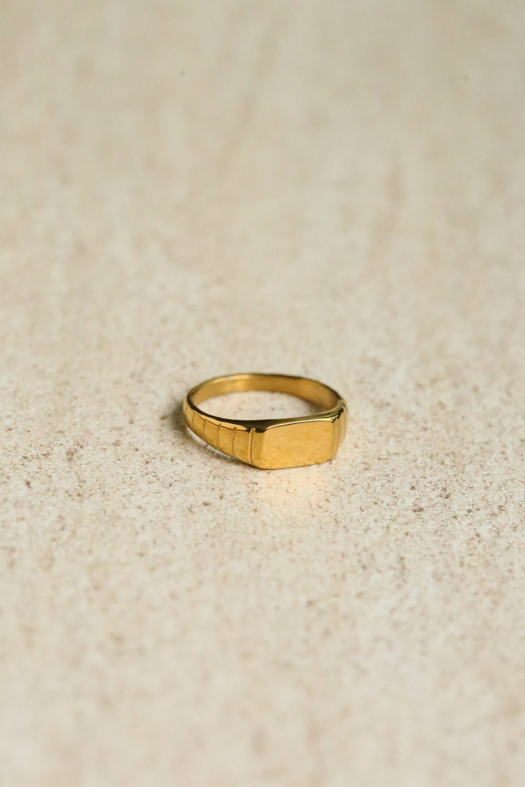 Manon Signet Ring - has waterproof, durable, elegant and vintage inspired jewelry