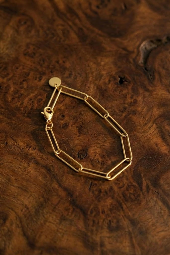 Lucius Paperclip Bracelet