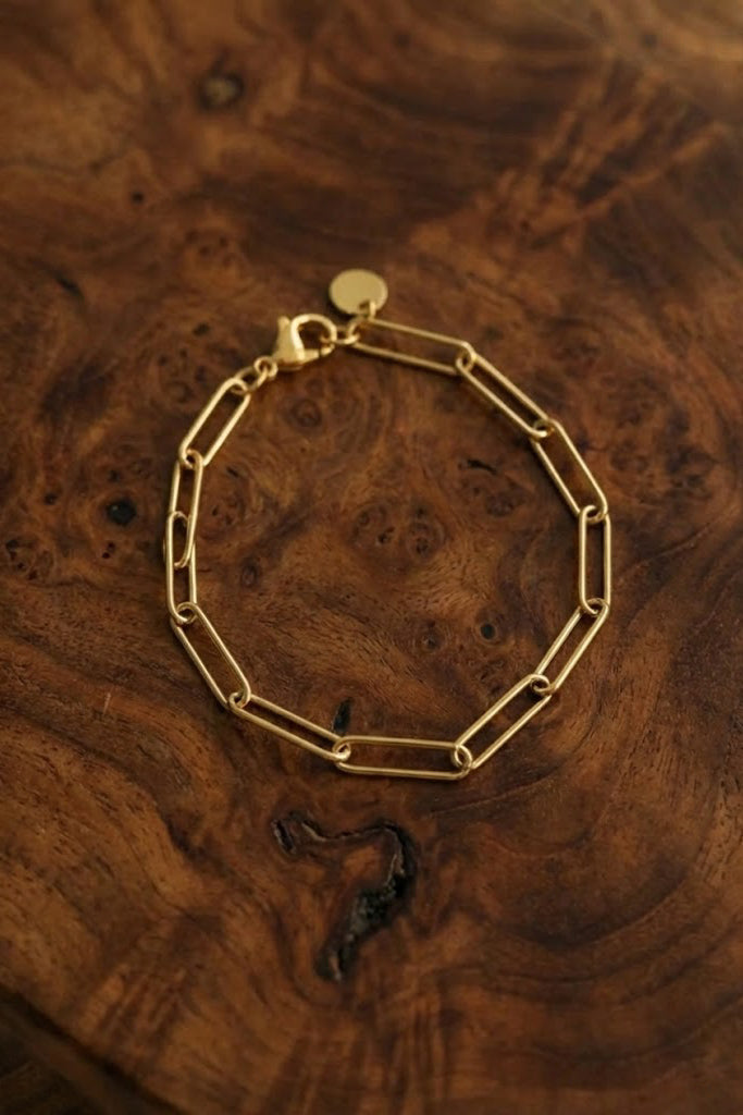 Lucius Paperclip Bracelet