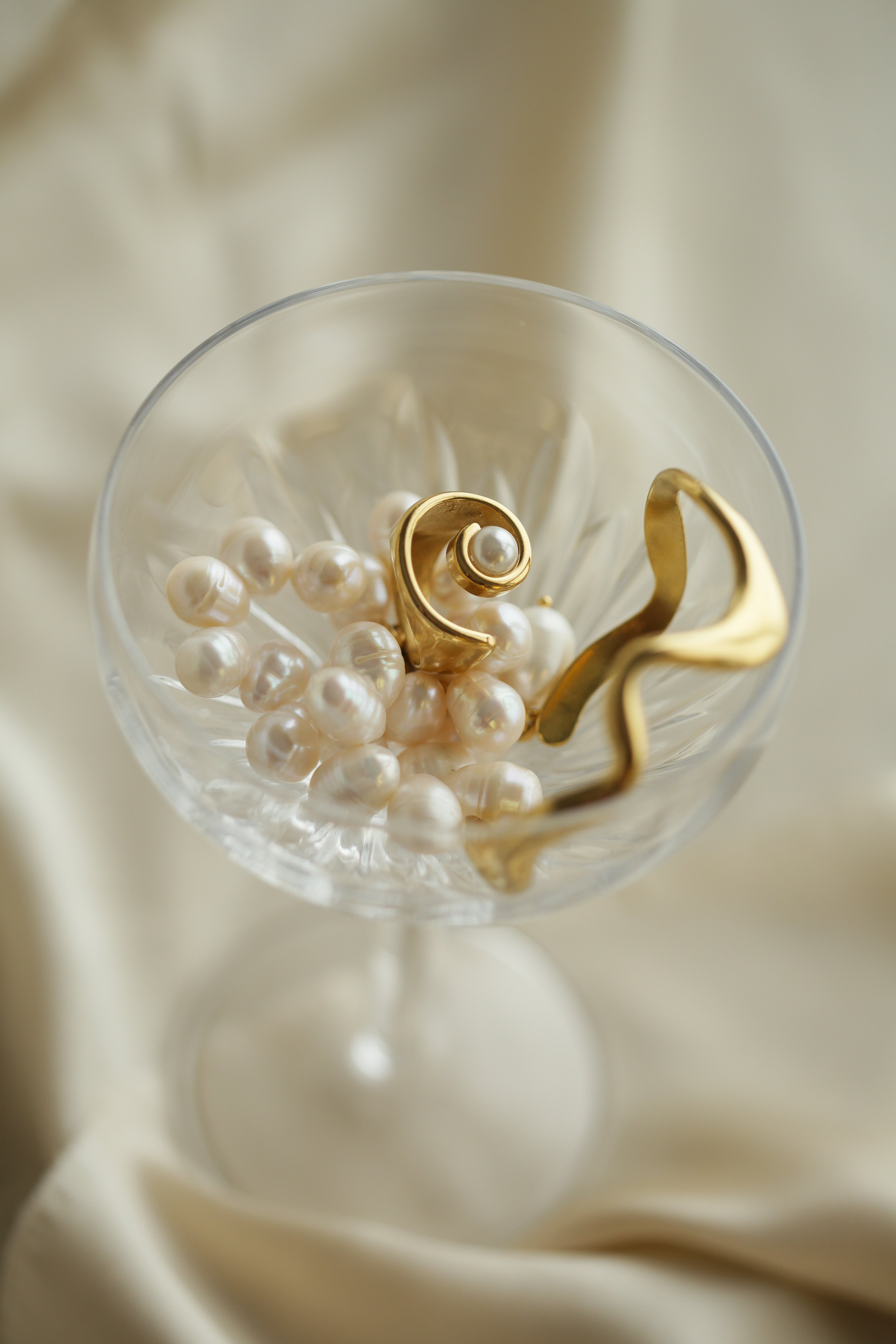 Nautilus Shell Ring