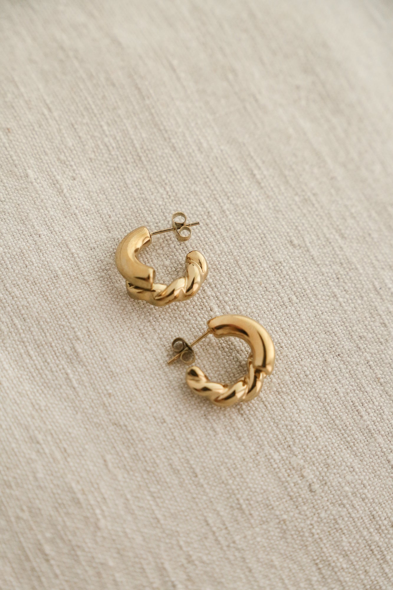 Julia Hoop Earrings