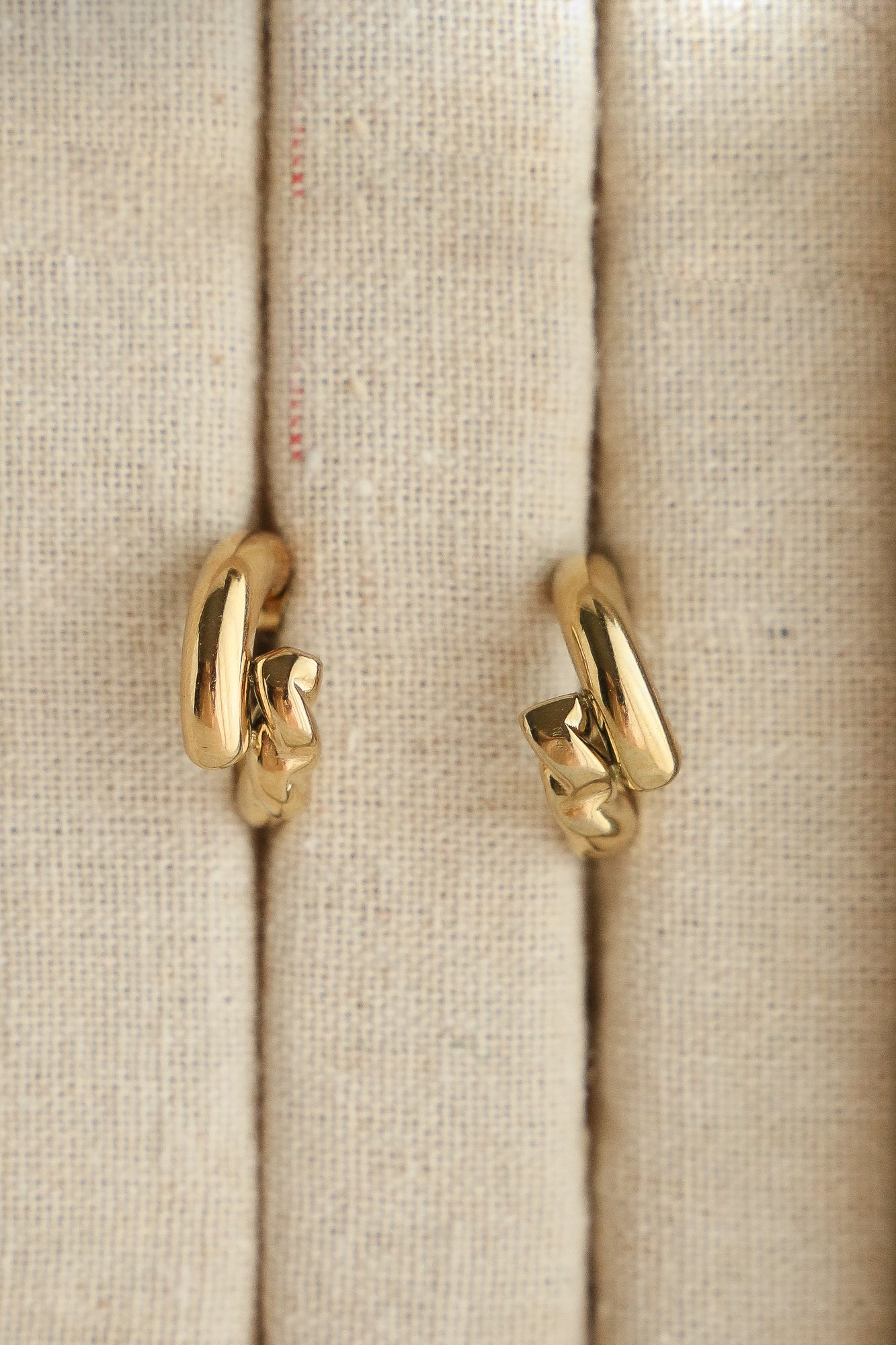 Julia Hoop Earrings