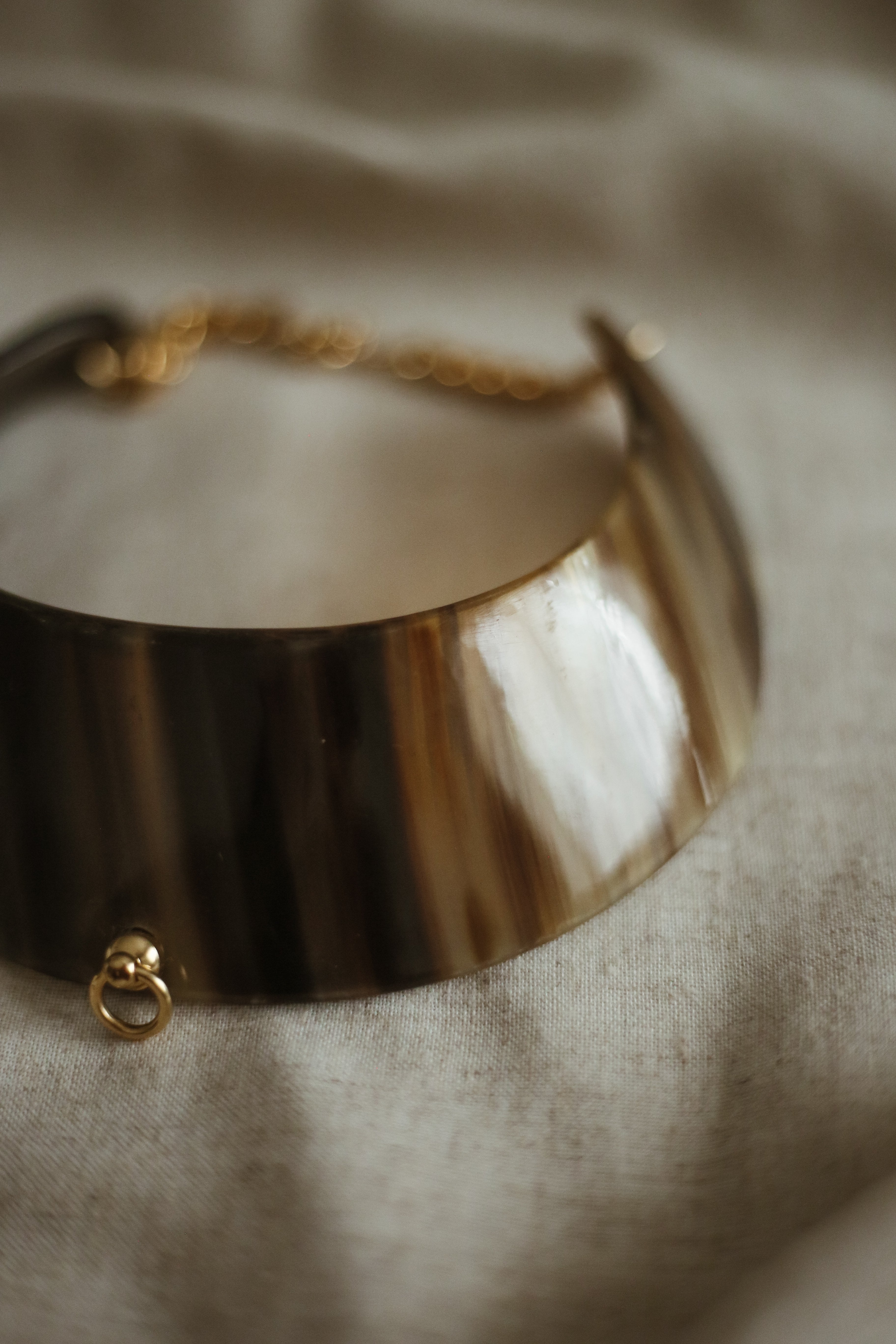 Sabine (Vintage) Horn Choker