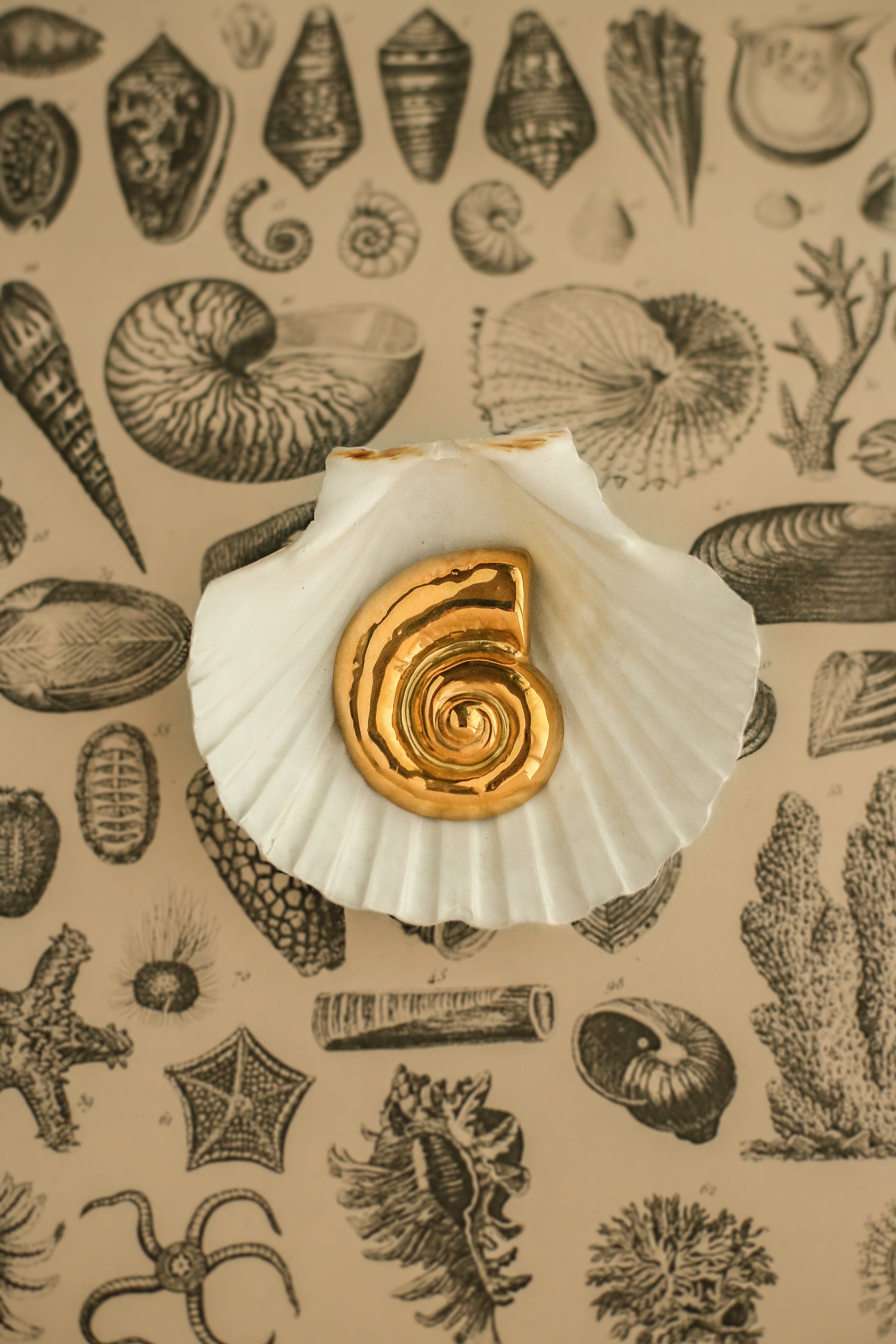 Carrie Brooch - has waterproof, durable, elegant and vintage inspired jewelry